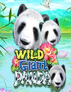 999 บา คา ร่าค่าย joker: เกมเดิมพันที่ไม่ควรพลาด